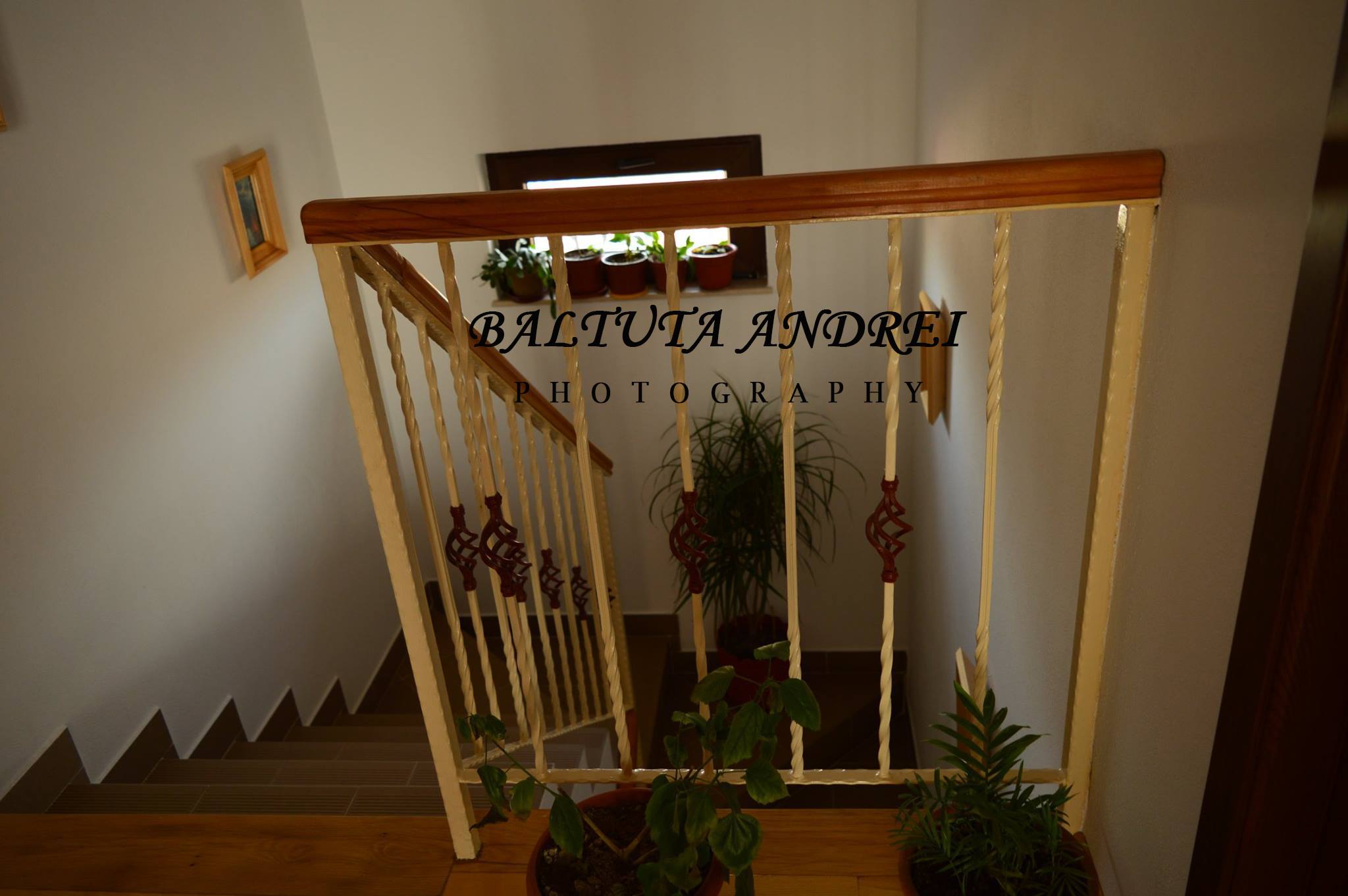 Balustradă 3